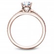 Noam Carver Semi Mount Engagement Ring