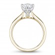 Noam Carver Semi Mount Engagement Ring