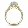 Noam Carver Semi Mount Engagement Ring