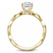 Noam Carver Semi Mount Engagement Ring