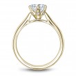 Noam Carver Semi Mount Engagement Ring