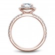 Noam Carver Semi Mount Engagement Ring