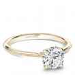 Noam Carver Semi Mount Engagement Ring