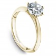 Noam Carver Semi Mount Engagement Ring