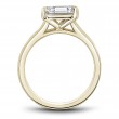 Noam Carver Semi Mount Engagement Ring