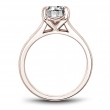 Noam Carver Semi Mount Engagement Ring