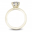 Noam Carver Semi Mount Engagement Ring