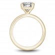 Noam Carver Semi Mount Engagement Ring