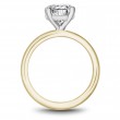 Noam Carver Semi Mount Engagement Ring