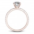 Noam Carver Semi Mount Engagement Ring