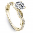 Noam Carver Semi Mount Engagement Ring