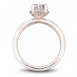 Noam Carver Semi Mount Engagement Ring