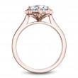 Noam Carver Semi Mount Engagement Ring