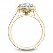 Noam Carver Semi Mount Engagement Ring