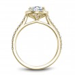 Noam Carver Semi Mount Engagement Ring