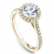 Noam Carver Semi Mount Engagement Ring