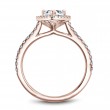 Noam Carver Semi Mount Engagement Ring