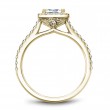 Noam Carver Semi Mount Engagement Ring